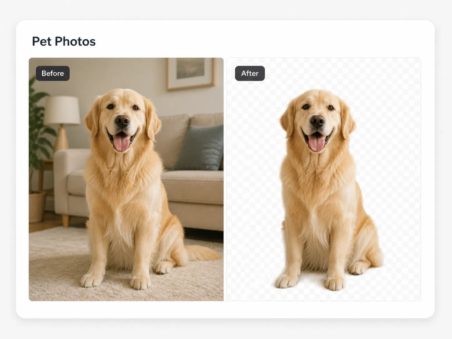 Remove background from image online pet photo before and after example